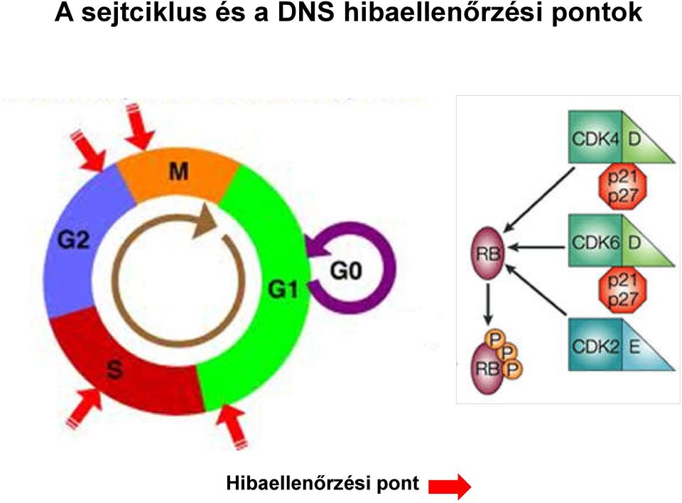 hibaellenőrzési