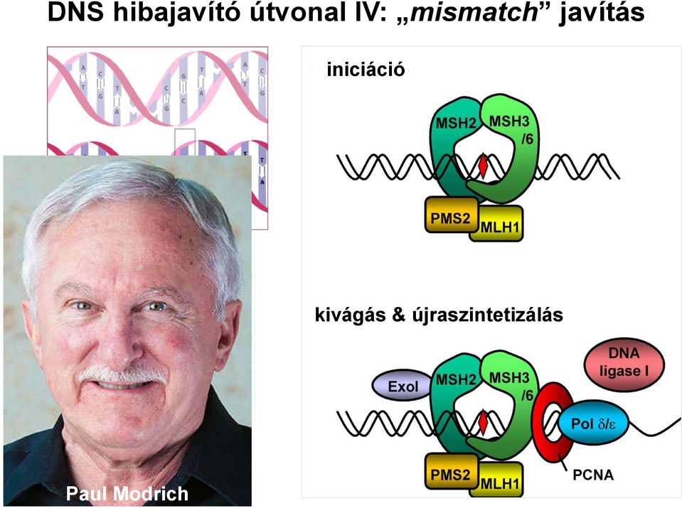 iniciáció kivágás &