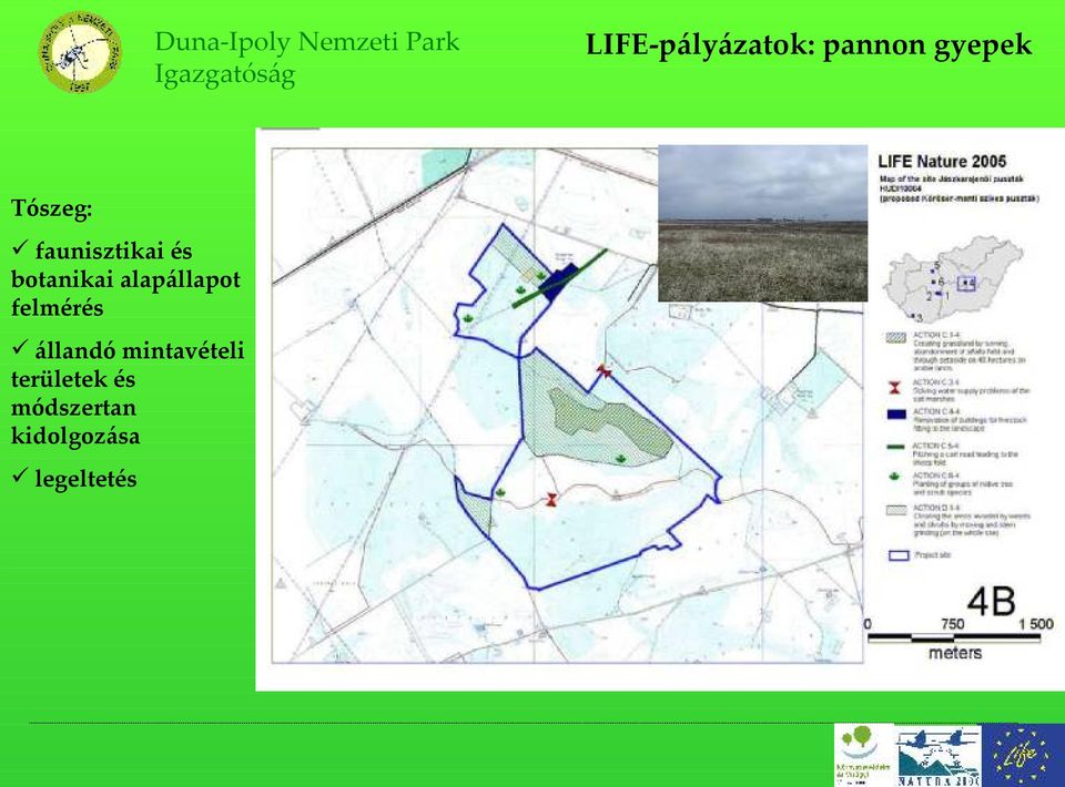 mintavételi területek és módszertan