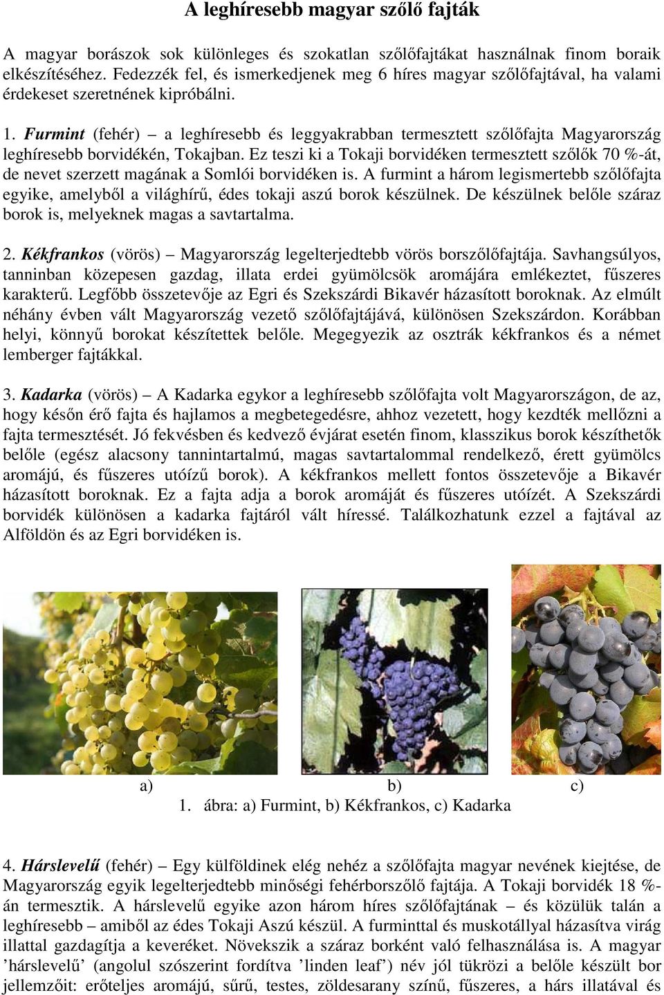 Furmint (fehér) a leghíresebb és leggyakrabban termesztett szőlőfajta Magyarország leghíresebb borvidékén, Tokajban.