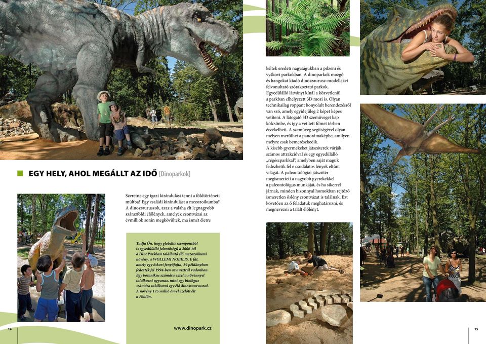 A dinoparkok mozgó és hangokat kiadó dinoszaurusz-modelleket felvonultató szórakoztató parkok. Egyedülálló látványt kínál a közvetlenül a parkban elhelyezett 3D mozi is.