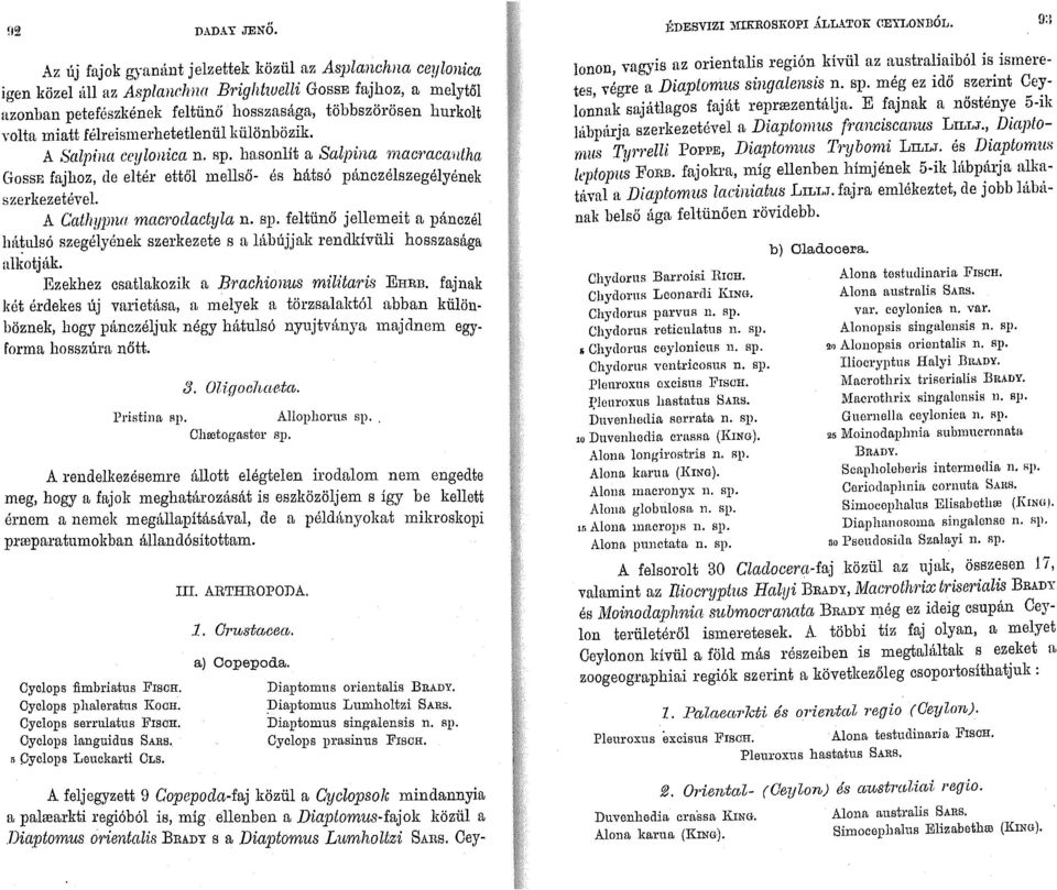 hasonlít a Salpina macmcct1ltha GOSSE fajhoz, de eltér ettől mellső- és hátsó pánczélszegélyének szerkezetével. A Cathypna macror1actyla n. sp.