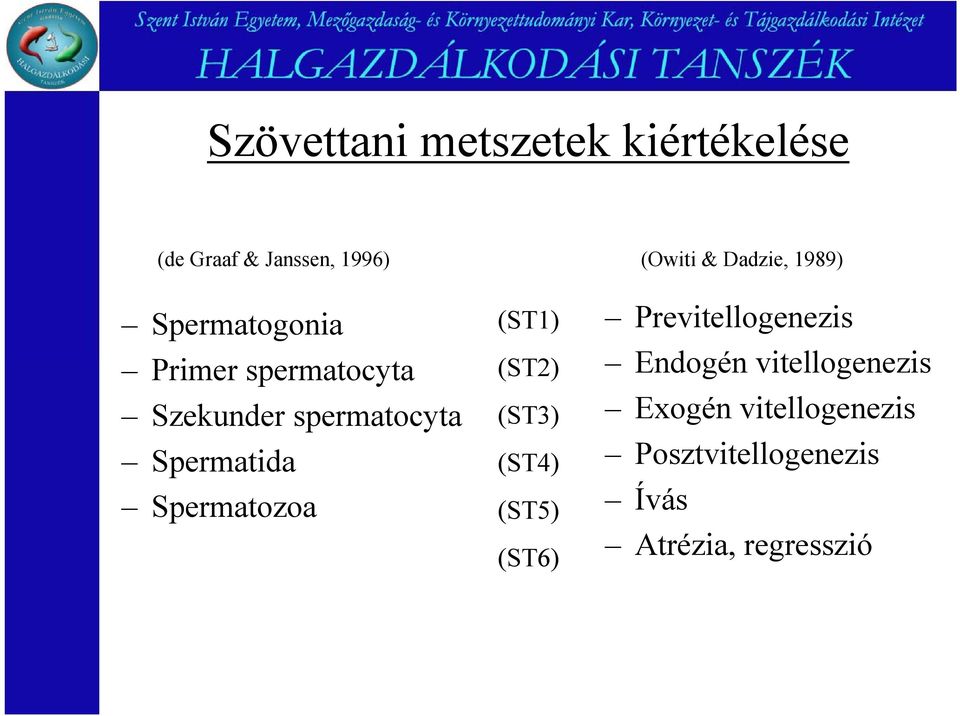 (ST1) (ST2) (ST3) (ST4) (ST5) (ST6) Ikrás (Owiti & Dadzie, 1989)