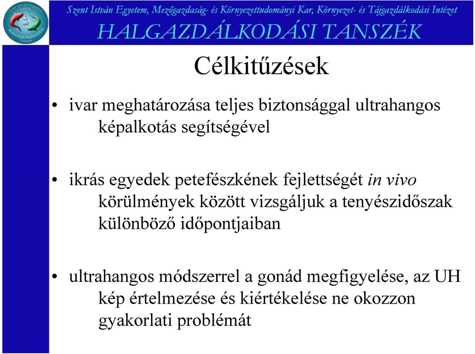 vizsgáljuk a tenyészidőszak különböző időpontjaiban ultrahangos módszerrel a