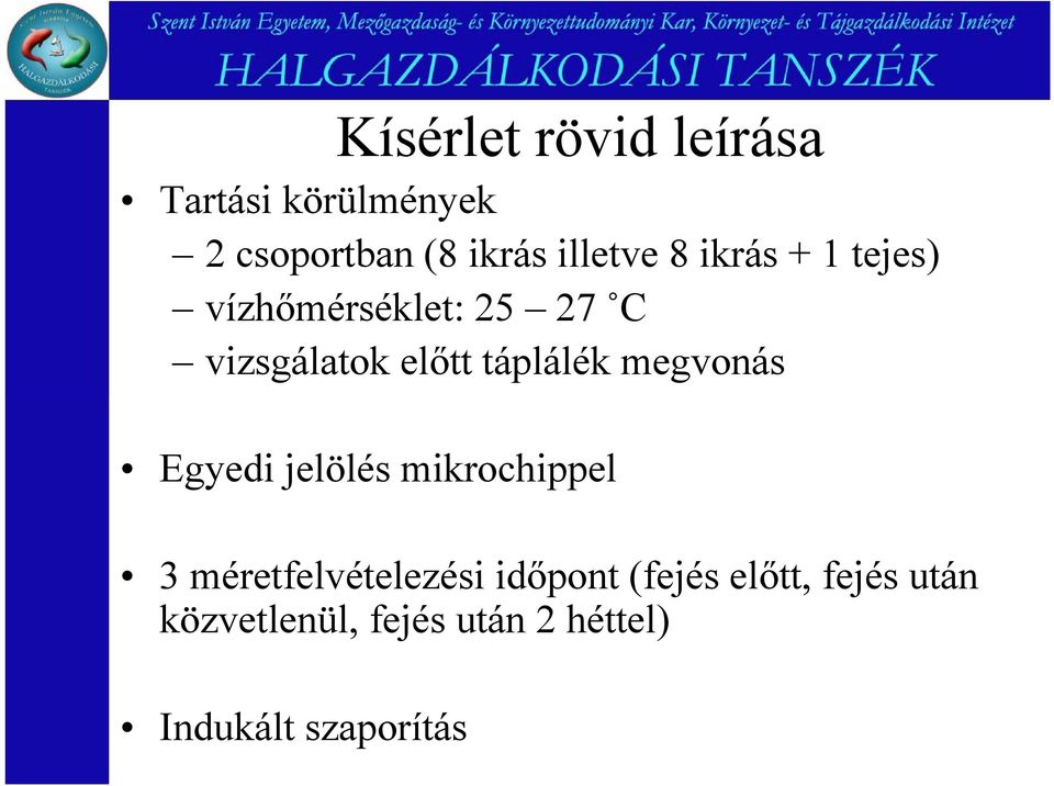 táplálék megvonás Egyedi jelölés mikrochippel 3 méretfelvételezési