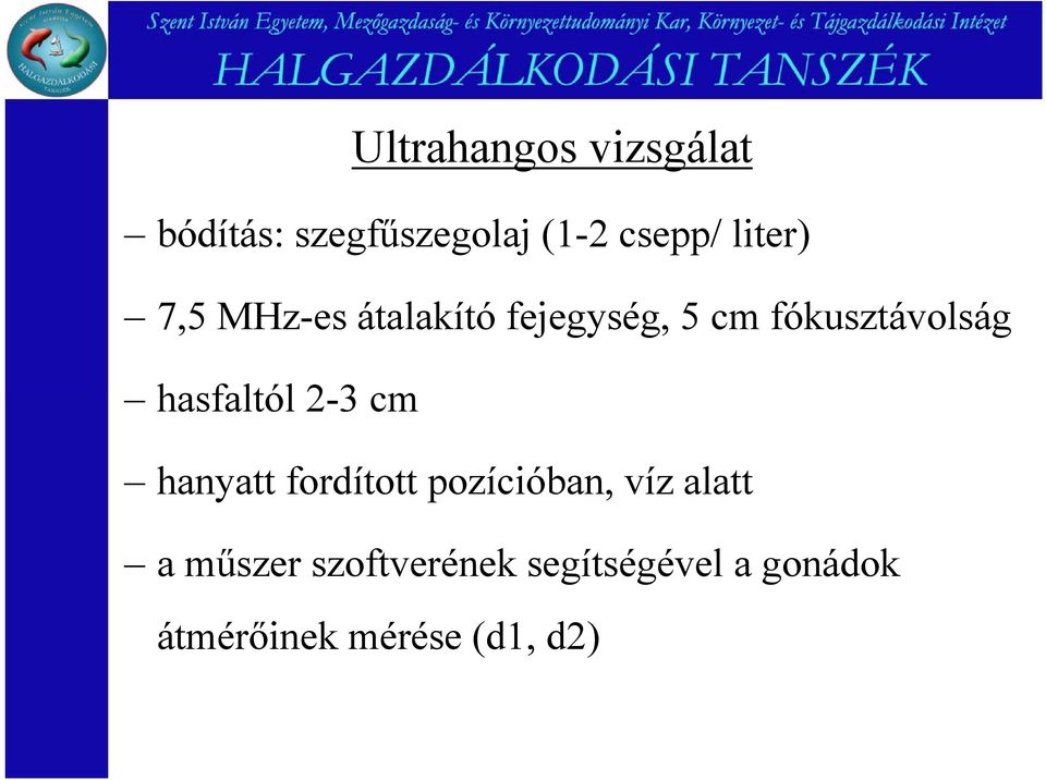 hasfaltól 2-3 cm hanyatt fordított pozícióban, víz alatt a