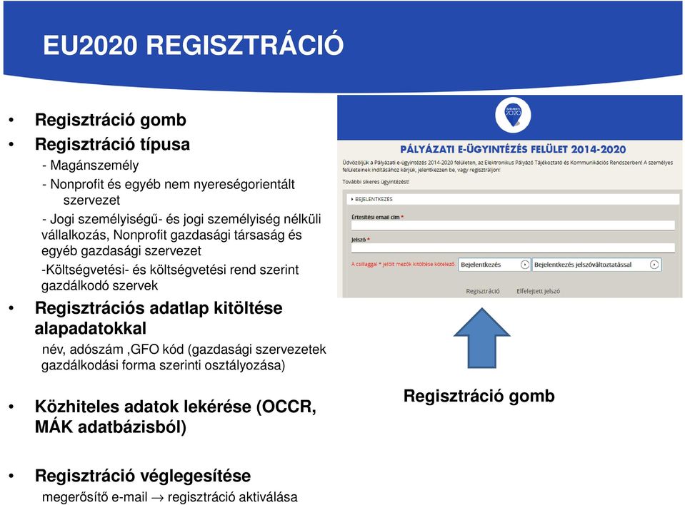 rend szerint gazdálkodó szervek Regisztrációs adatlap kitöltése alapadatokkal név, adószám,gfo kód (gazdasági szervezetek gazdálkodási forma