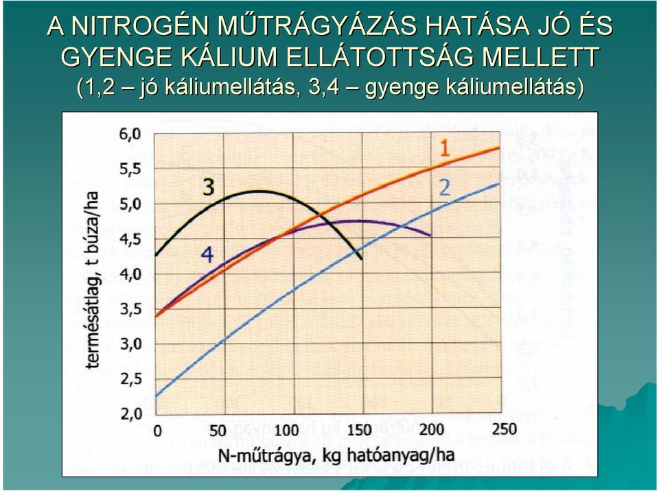 ELLÁTOTTS TOTTSÁGG MELLETT (1,2 jó