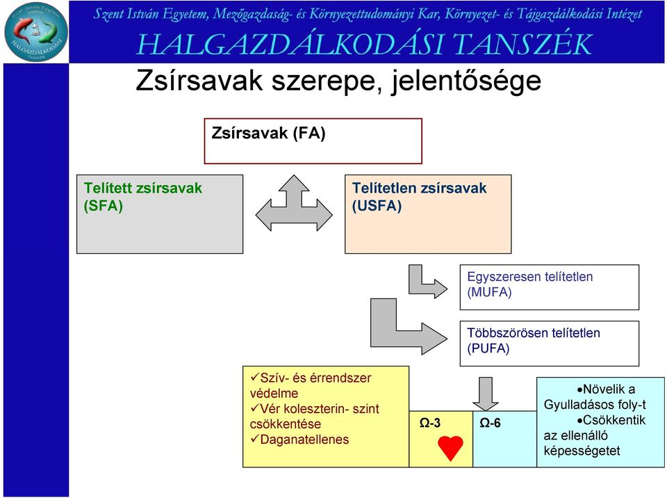 telítetlen (PUFA) Szív- és érrendszer védelme Vér koleszterin- szint