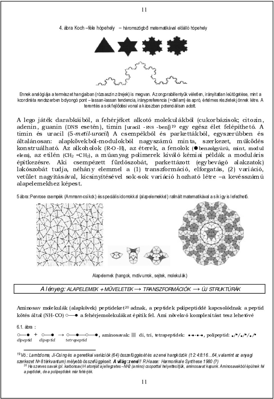 A teremtés a s ok fejlıdési vonal a k áos zban potenci álisan adott.