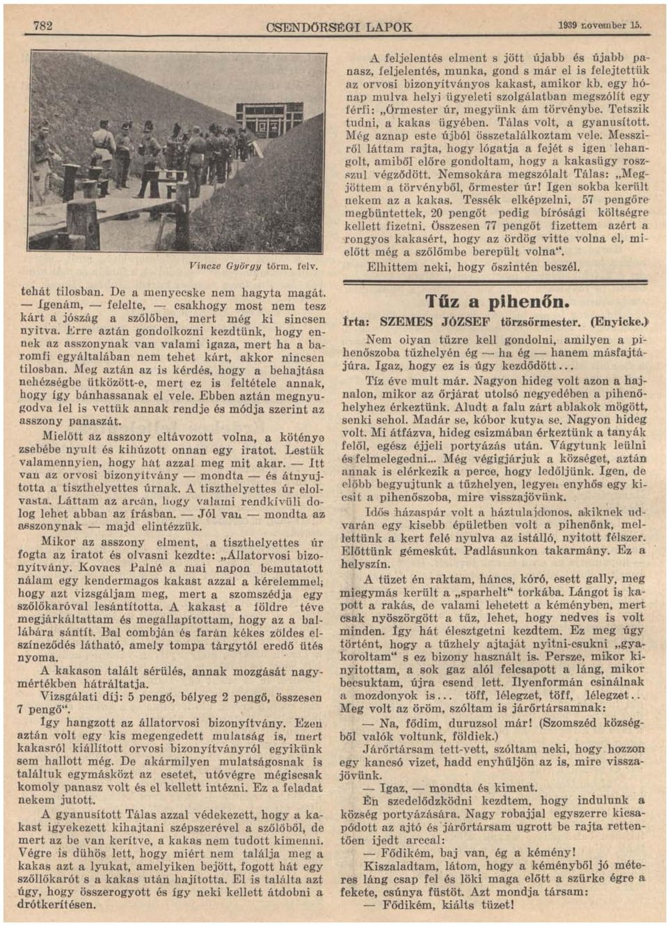 .h:rre aztán gondolkozni kezdtünk, hogy ennek az asszonynak van valami igaza, mert ha a baromfi egyáltalában nem tehet kárt, akkor nincsen tilosban.