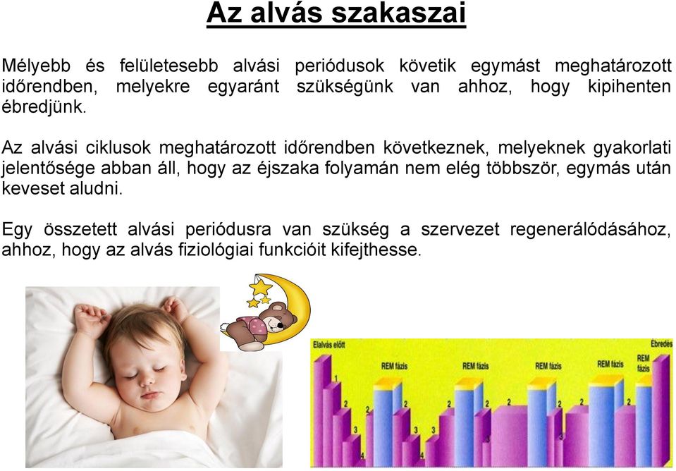 Az alvási ciklusok meghatározott időrendben következnek, melyeknek gyakorlati jelentősége abban áll, hogy az éjszaka