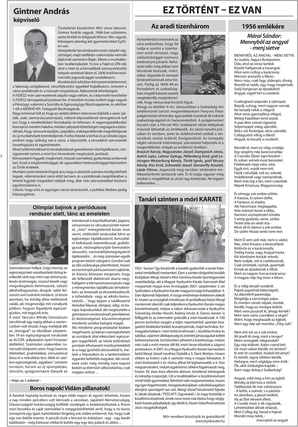 Ebben a munkakörben tevékenykedek 15 éve a Fejérvíz ZRt-nél, ahol a móri és a környékbeli szennyvíztisztító telepek vezetését látom el. 2006 évtől tervezőmérnöki jogosultsággal rendelkezem.