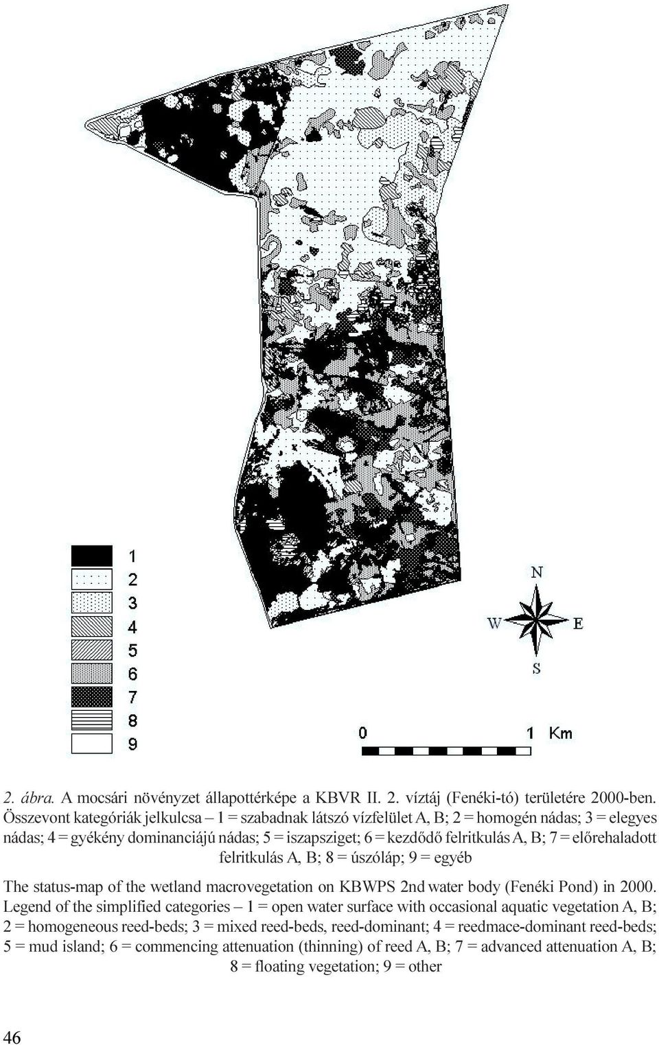 macrovegetation on KBWPS 2nd water body (Fenéki Pond) in 2000 Legend of the simplified categories 1 = open water surface with occasional aquatic vegetation A, B; 2 = homogeneous reed-beds; 3