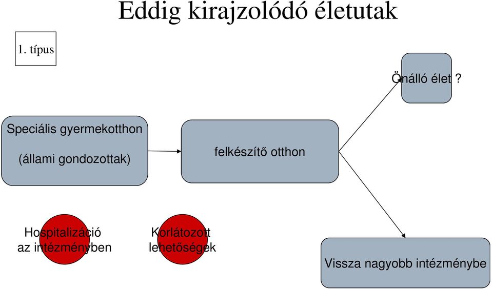 felkészítő otthon Hospitalizáció az intézményben