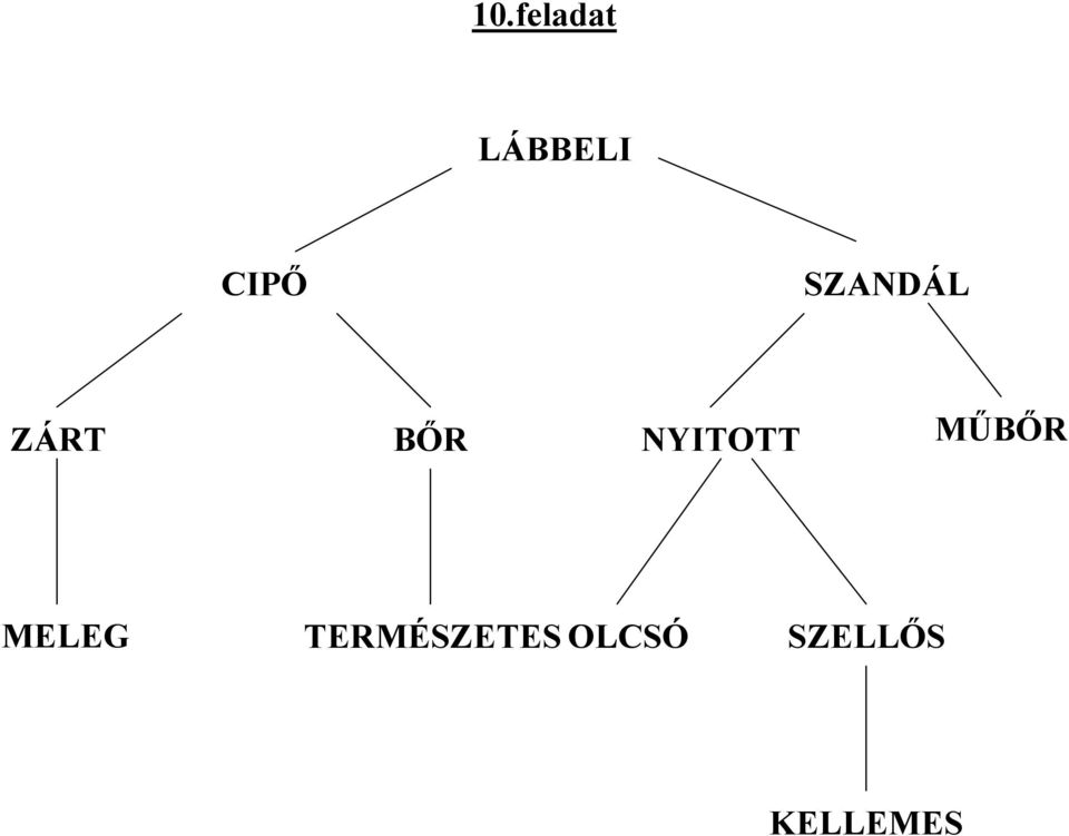 NYITOTT MŰBŐR MELEG