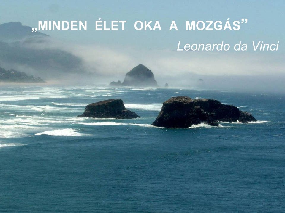 MOZGÁS