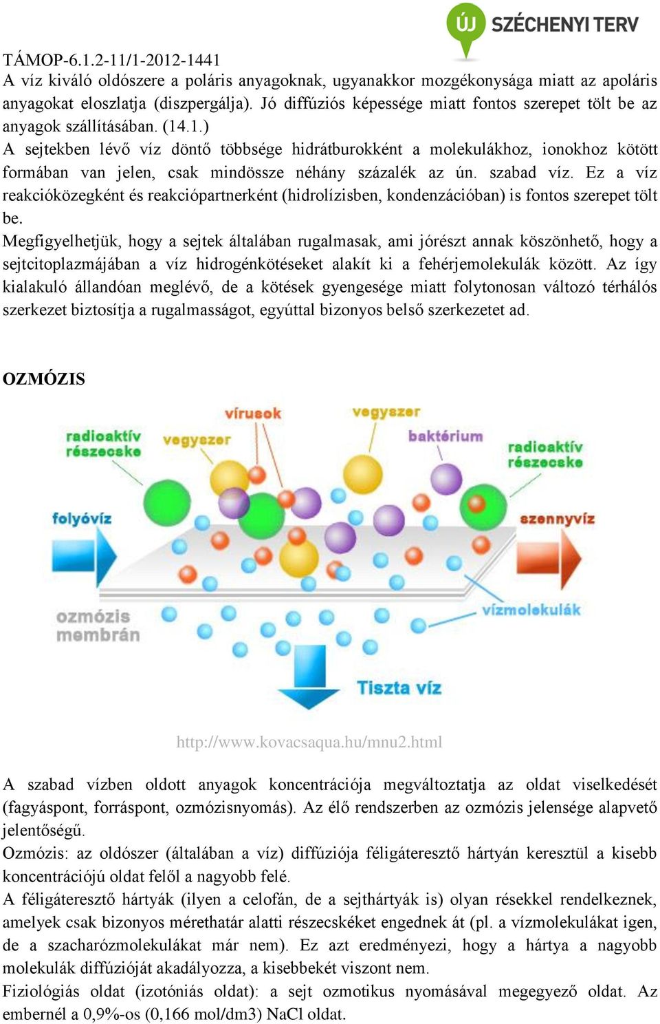 .1.) A sejtekben lévő víz döntő többsége hidrátburokként a molekulákhoz, ionokhoz kötött formában van jelen, csak mindössze néhány százalék az ún. szabad víz.