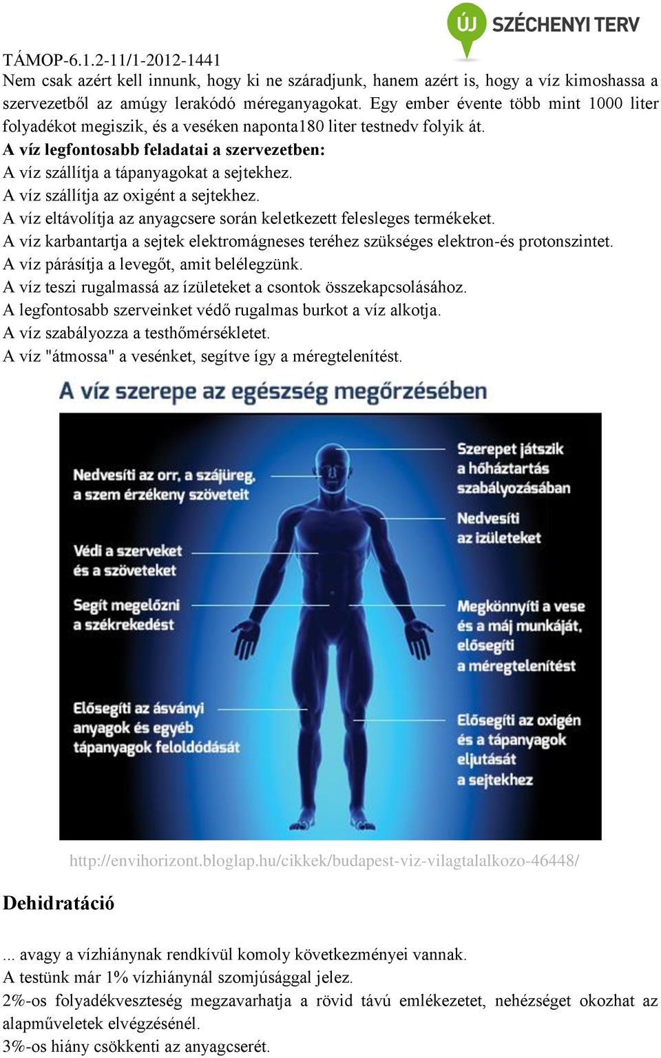 A víz szállítja az oxigént a sejtekhez. A víz eltávolítja az anyagcsere során keletkezett felesleges termékeket.