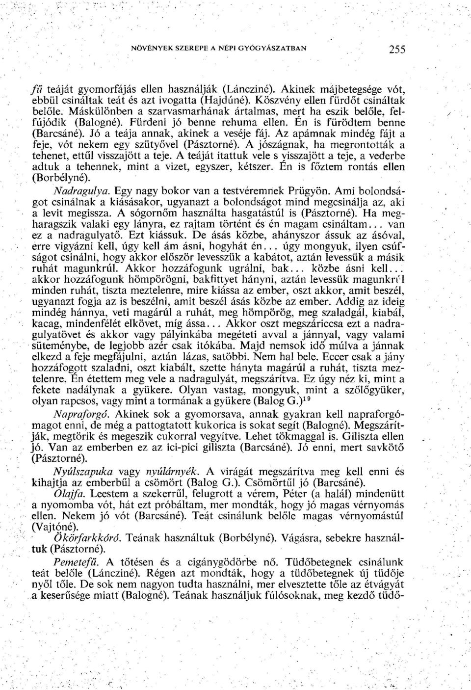 Jó a teája annak, akinek a veséje fáj. Az apámnak mindég fájt a feje, vót nekem egy szütyővel (Pásztorné). A jószágnak, ha megrontották a tehenet, ettűl visszajött a teje.