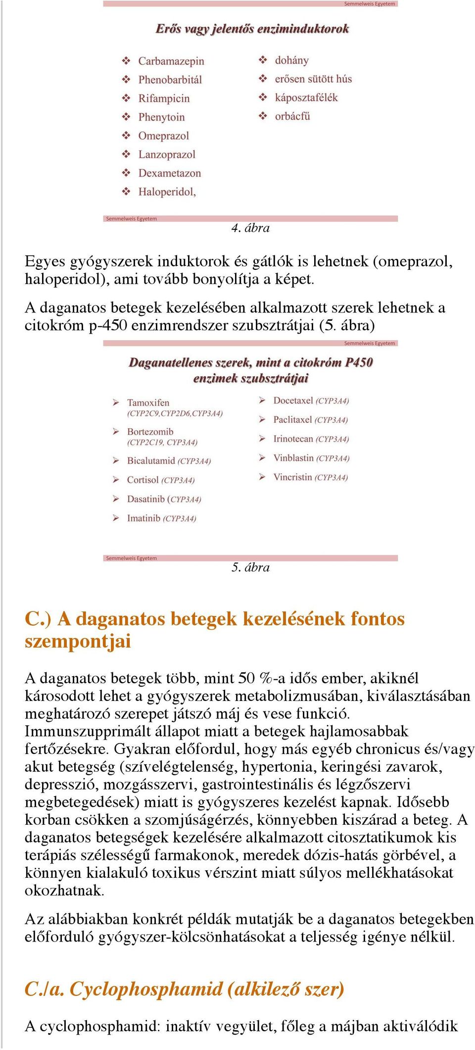 ) A daganatos betegek kezelésének fontos szempontjai A daganatos betegek több, mint 50 %-a idős ember, akiknél károsodott lehet a gyógyszerek metabolizmusában, kiválasztásában meghatározó szerepet