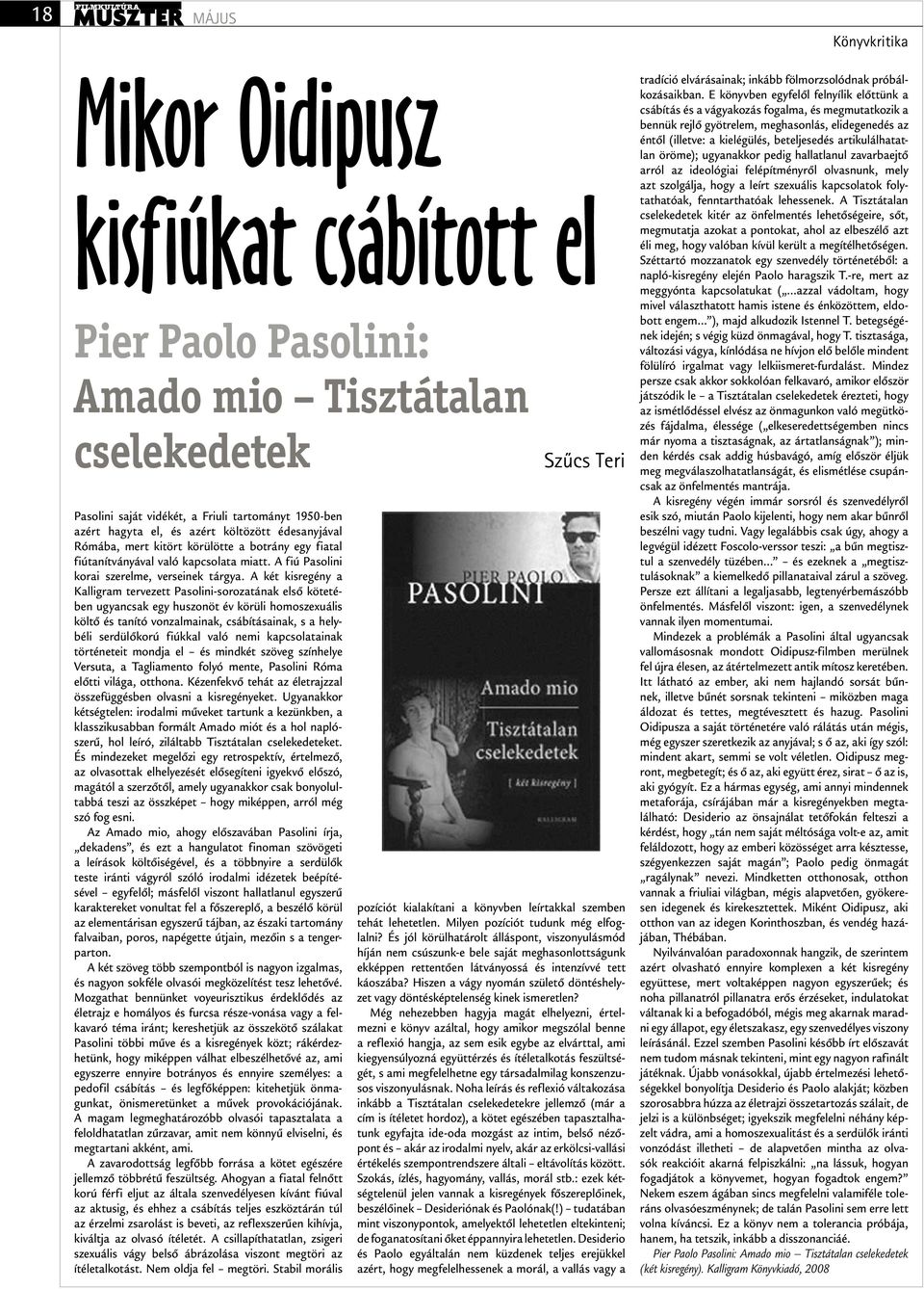 A két kisregény a Kalligram tervezett Pasolini-sorozatának első kötetében ugyancsak egy huszonöt év körüli homo szexuális költő és tanító vonzalmainak, csábításainak, s a helybéli serdülőkorú fiúkkal