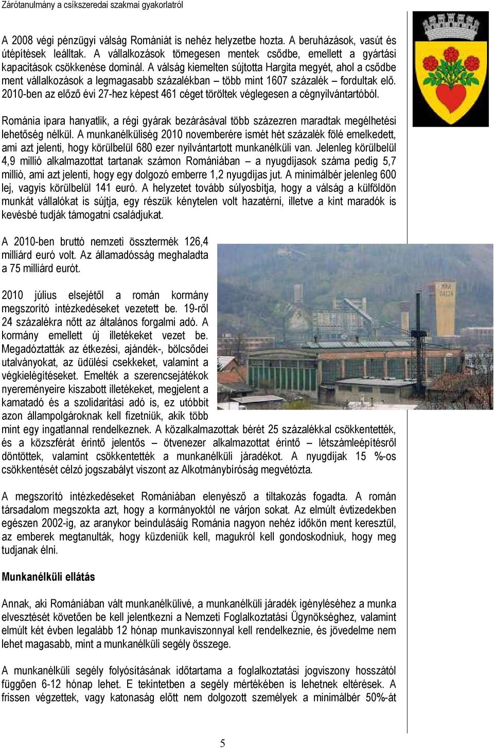 2010-ben az elızı évi 27-hez képest 461 céget töröltek véglegesen a cégnyilvántartóból. Románia ipara hanyatlik, a régi gyárak bezárásával több százezren maradtak megélhetési lehetıség nélkül.