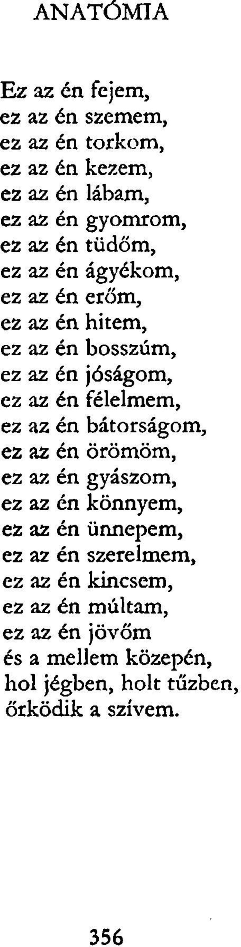 félelmem, ez az én bátorságom, ez az én örömöm, ez az én gyászom, ez az én könnyem, ez az én ünnepem, ez az én