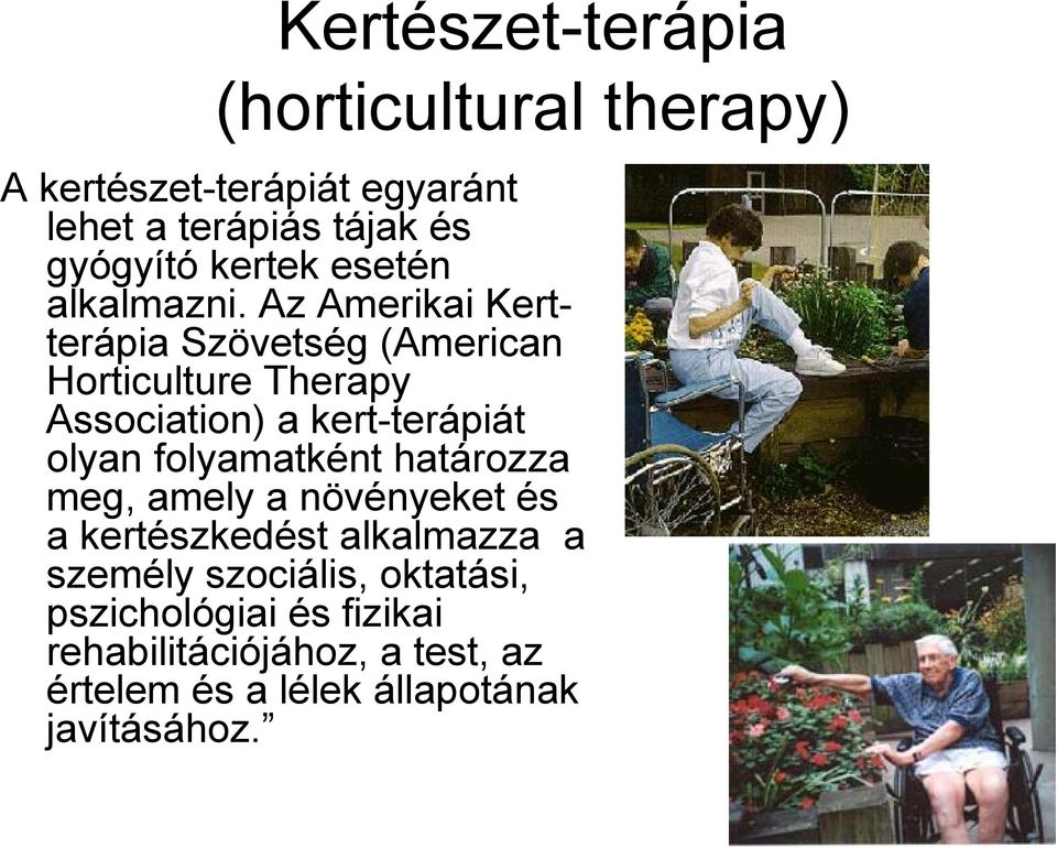 Az Amerikai Kertterápia Szövetség (American Horticulture Therapy Association) a kert-terápiát olyan