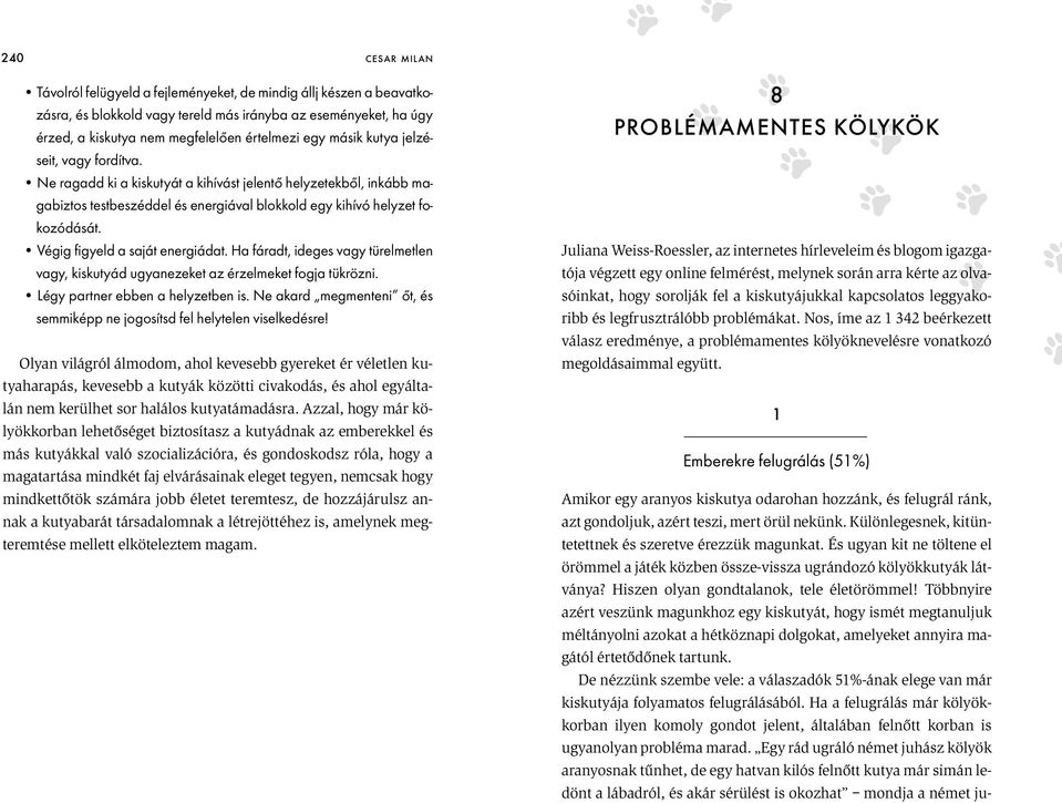 Végig figyeld a saját energiádat. Ha fáradt, ideges vagy türelmetlen vagy, kiskutyád ugyanezeket az érzelmeket fogja tükrözni. Légy partner ebben a helyzetben is.