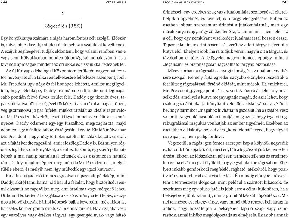 Az új Kutyapszichológiai Központom területén nagyon változatos növényzet áll a falka rendelkezésére felfedezés szempontjából. Mr.