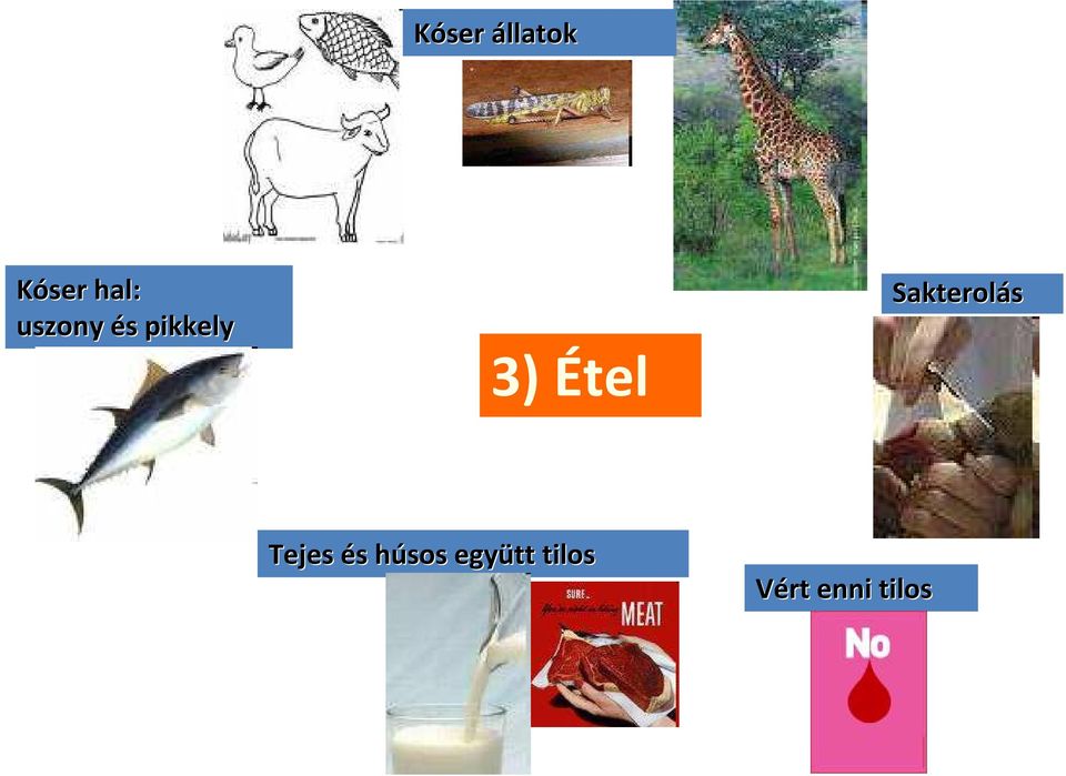 Sakterolás Tejes és s húsos