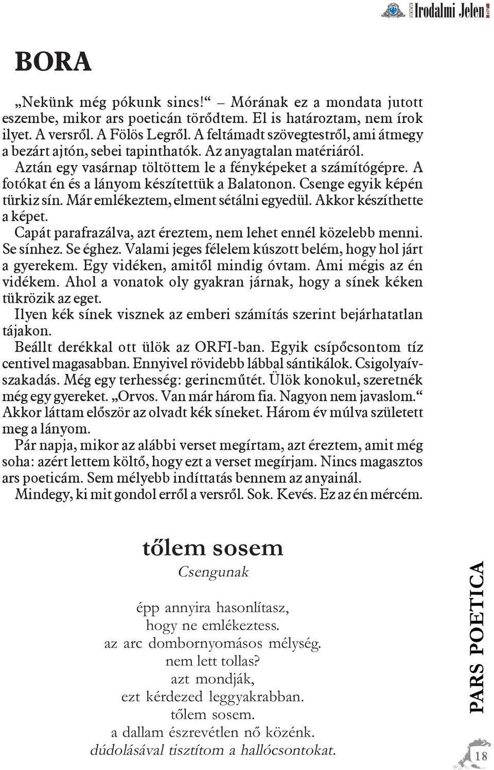 A fotókat én és a lányom készítettük a Balatonon. Csenge egyik képén türkiz sín. Már emlékeztem, elment sétálni egyedül. Akkor készíthette a képet.