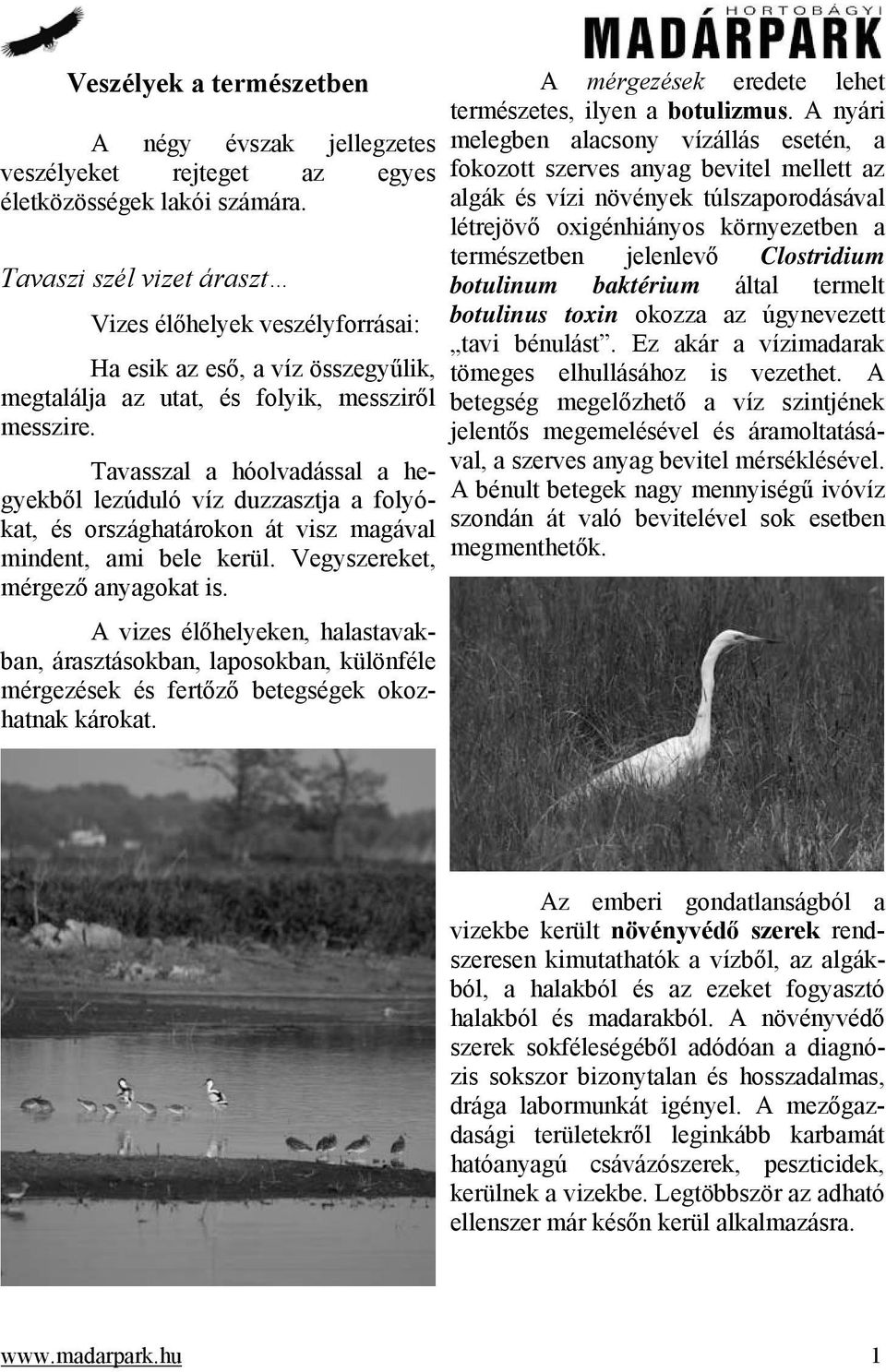 Tavasszal a hóolvadással a hegyekből lezúduló víz duzzasztja a folyókat, és országhatárokon át visz magával mindent, ami bele kerül. Vegyszereket, mérgező anyagokat is.