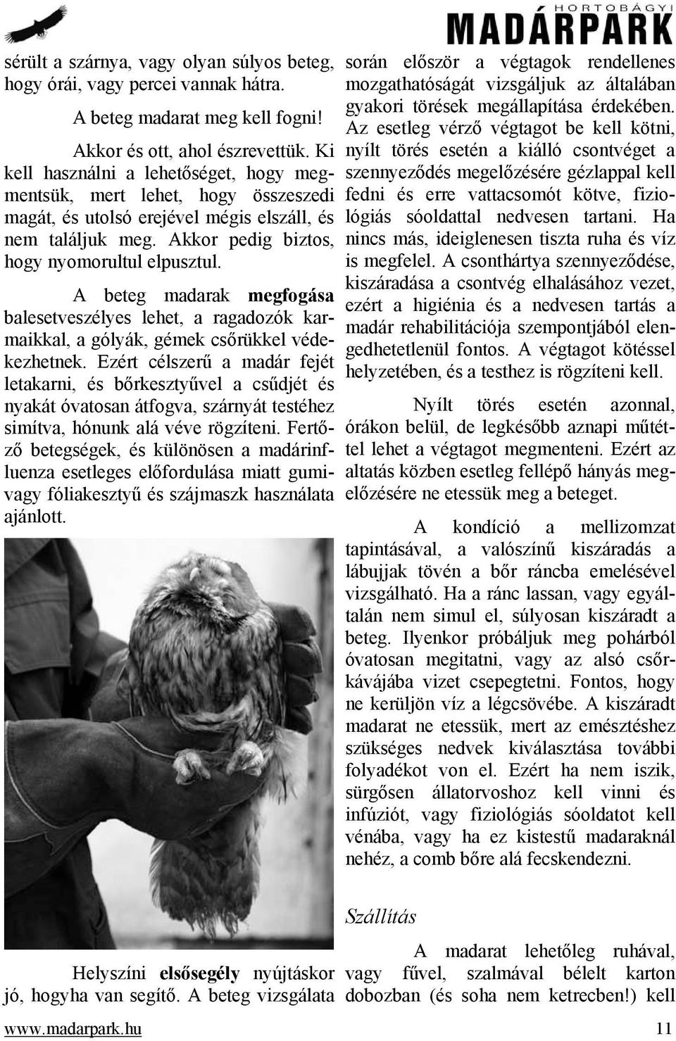 A beteg madarak megfogása balesetveszélyes lehet, a ragadozók karmaikkal, a gólyák, gémek csőrükkel védekezhetnek.