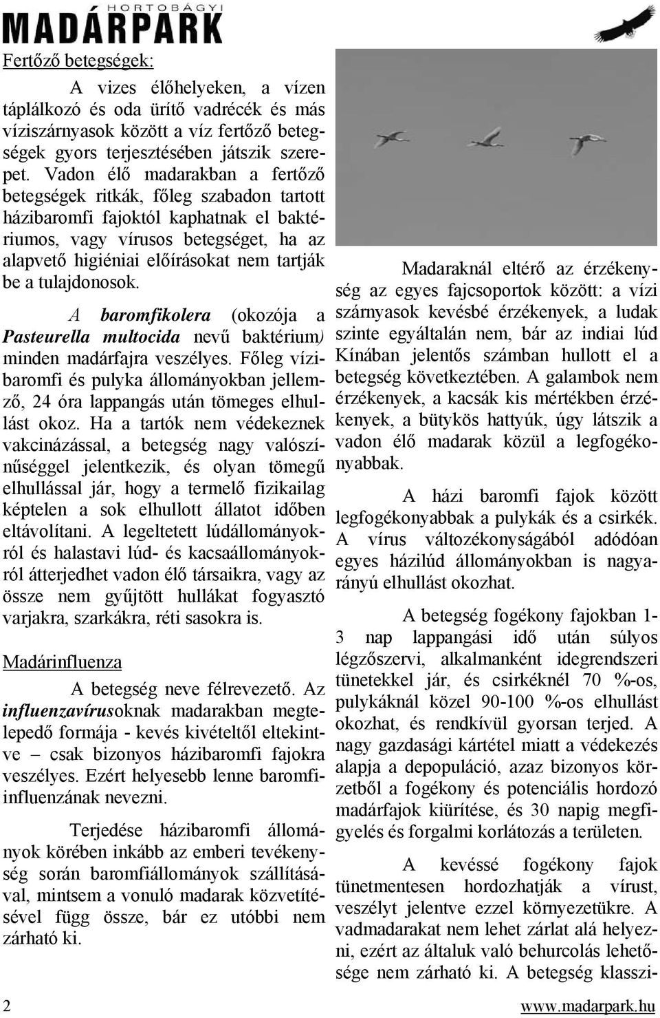 tulajdonosok. A baromfikolera (okozója a Pasteurella multocida nevű baktérium) minden madárfajra veszélyes.