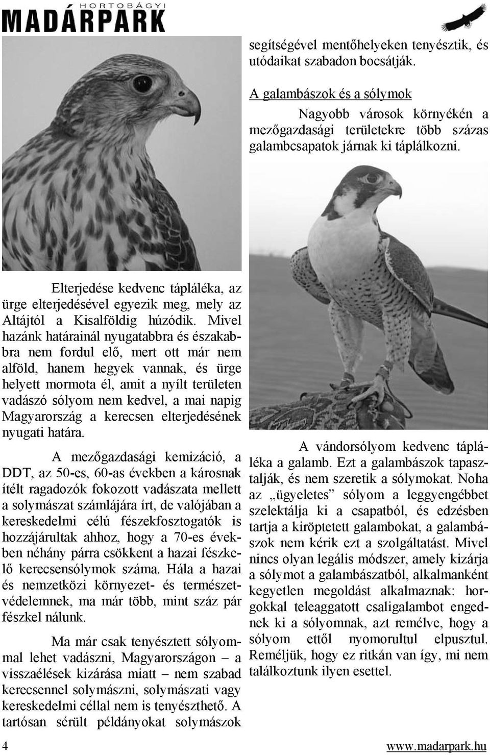 Elterjedése kedvenc tápláléka, az ürge elterjedésével egyezik meg, mely az Altájtól a Kisalföldig húzódik.