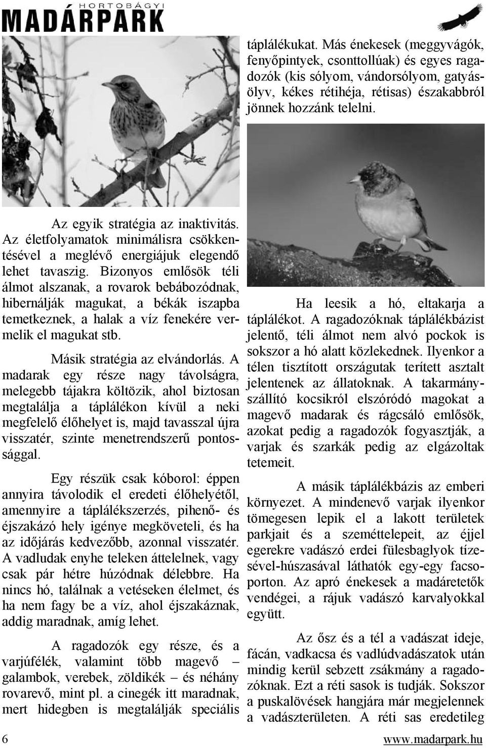 Bizonyos emlősök téli álmot alszanak, a rovarok bebábozódnak, hibernálják magukat, a békák iszapba temetkeznek, a halak a víz fenekére vermelik el magukat stb. Másik stratégia az elvándorlás.