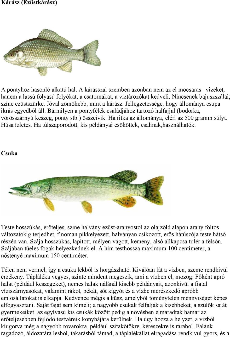 Bármilyen a pontyfélék családjához tartozó halfajjal (bodorka, vörösszárnyú keszeg, ponty stb.) összeívik. Ha ritka az állománya, eléri az 500 gramm súlyt. Húsa ízletes.