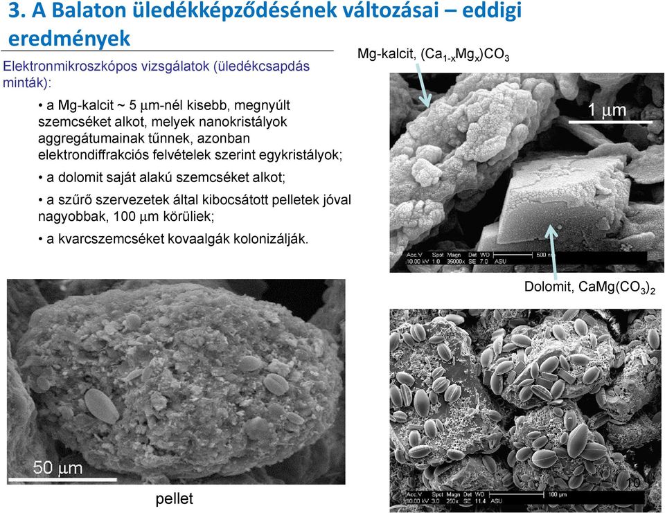 elektrondiffrakciós felvételek szerint egykristályok; Mg-kalcit, (Ca1-xMgx)CO3 1 µm a dolomit saját alakú szemcséket alkot; a