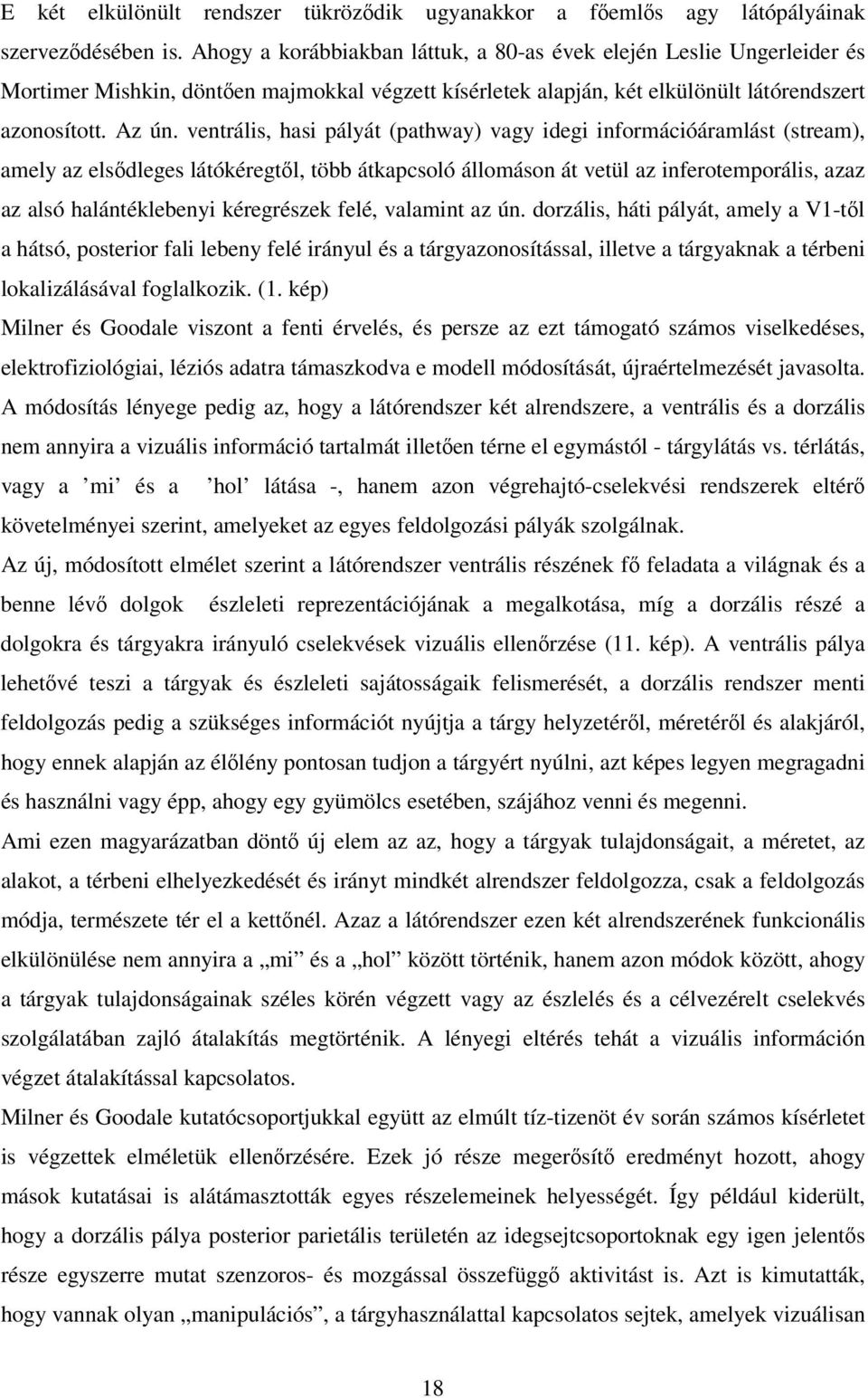 ventrális, hasi pályát (pathway) vagy idegi információáramlást (stream), amely az elsődleges látókéregtől, több átkapcsoló állomáson át vetül az inferotemporális, azaz az alsó halántéklebenyi