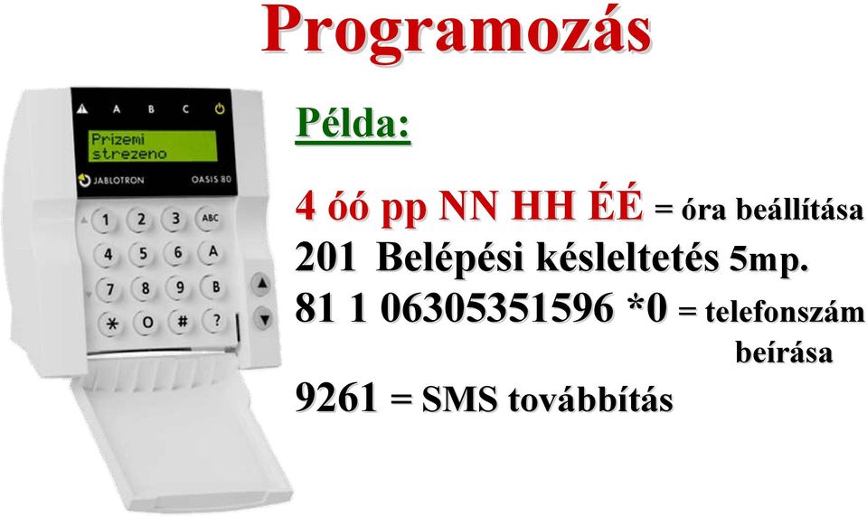 5mp. 81 1 06305351596 *0 = telefonsz 9261 =