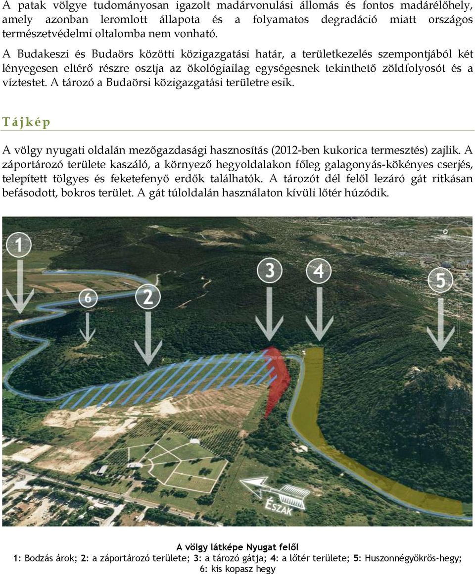 A tározó a Budaörsi közigazgatási területre esik. T á jk ép A völgy nyugati oldalán mezőgazdasági hasznosítás (2012-ben kukorica termesztés) zajlik.