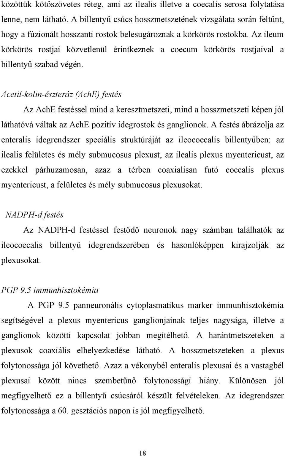 Az ileum körkörös rostjai közvetlenül érintkeznek a coecum körkörös rostjaival a billentyű szabad végén.