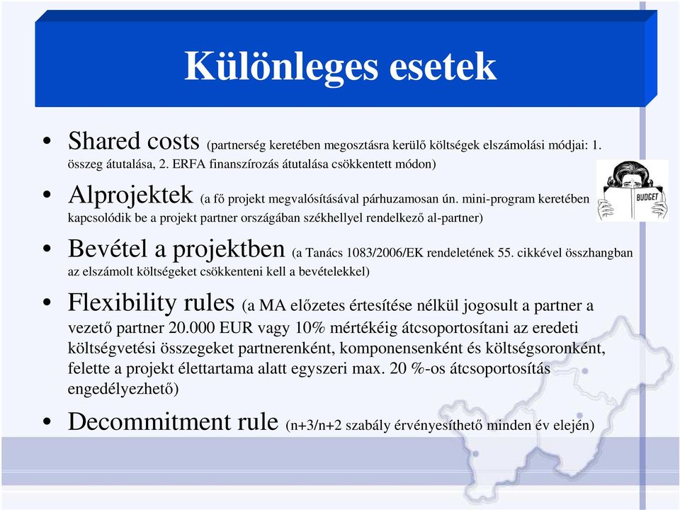 mini-program keretében kapcsolódik be a projekt partner országában székhellyel rendelkezı al-partner) Bevétel a projektben (a Tanács 183/26/EK rendeletének 55.