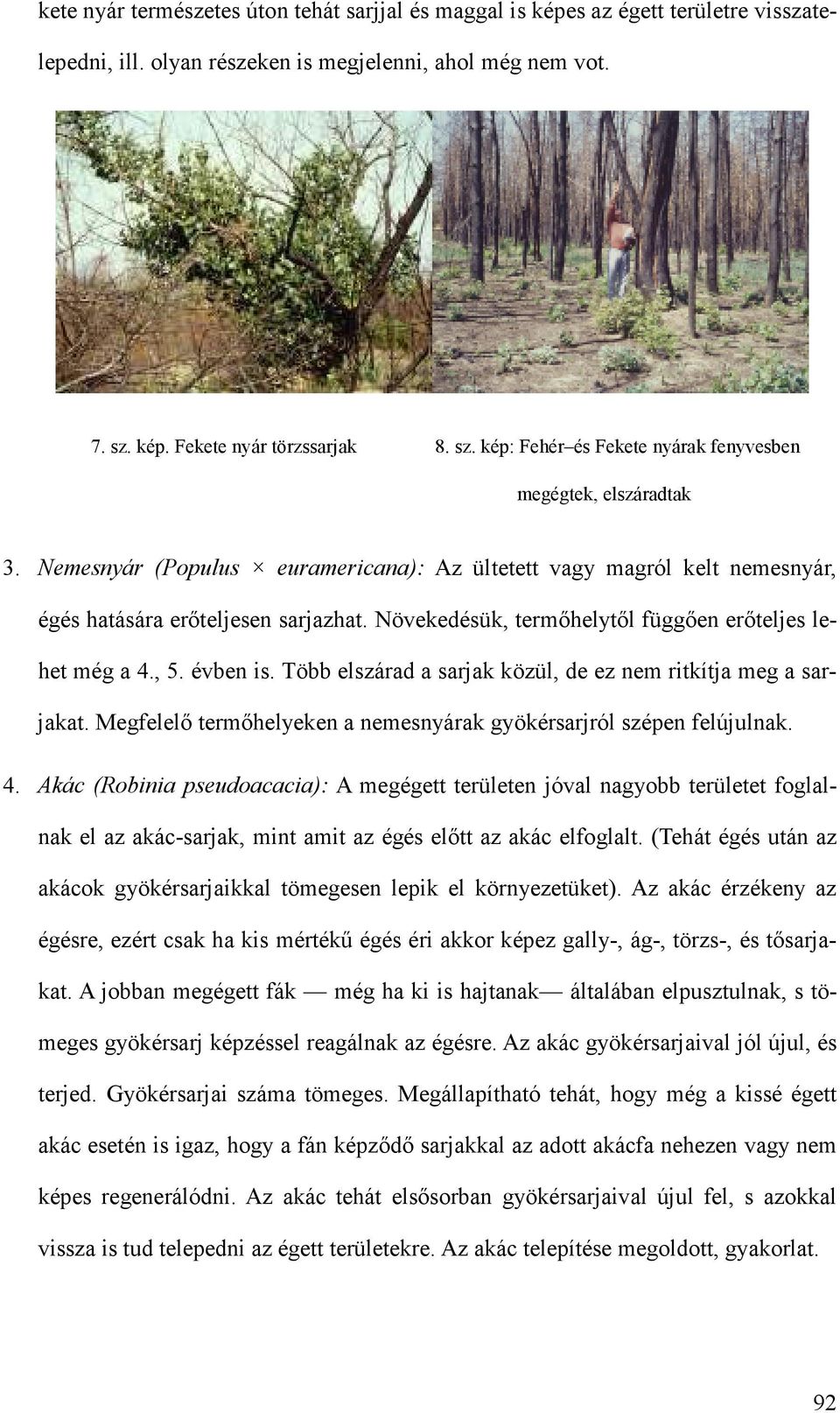 Nemesnyár (Populus euramericana): Az ültetett vagy magról kelt nemesnyár, égés hatására erıteljesen sarjazhat. Növekedésük, termıhelytıl függıen erıteljes lehet még a 4., 5. évben is.