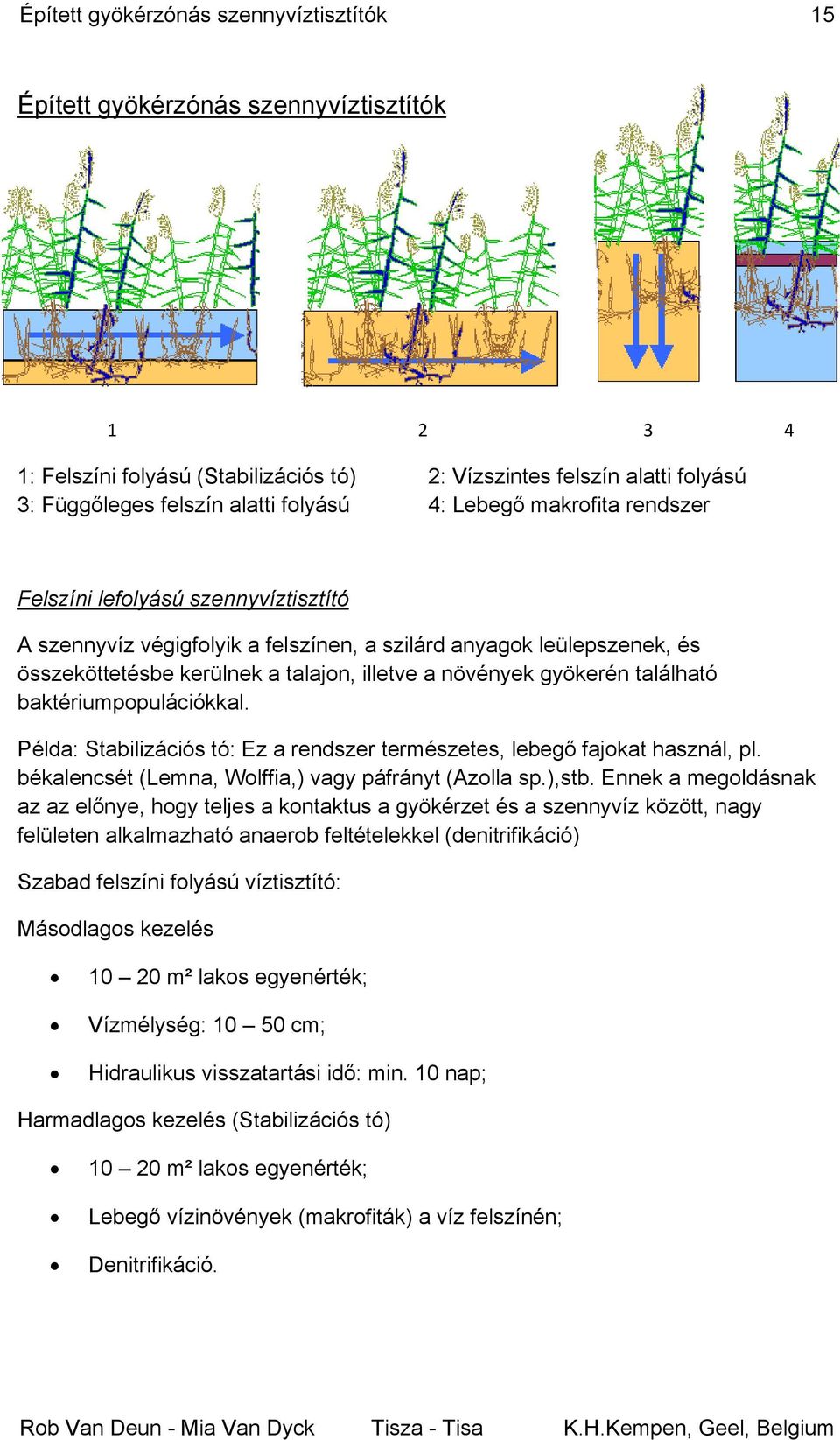 növények gyökerén található baktériumpopulációkkal. Példa: Stabilizációs tó: Ez a rendszer természetes, lebegő fajokat használ, pl. békalencsét (Lemna, Wolffia,) vagy páfrányt (Azolla sp.),stb.