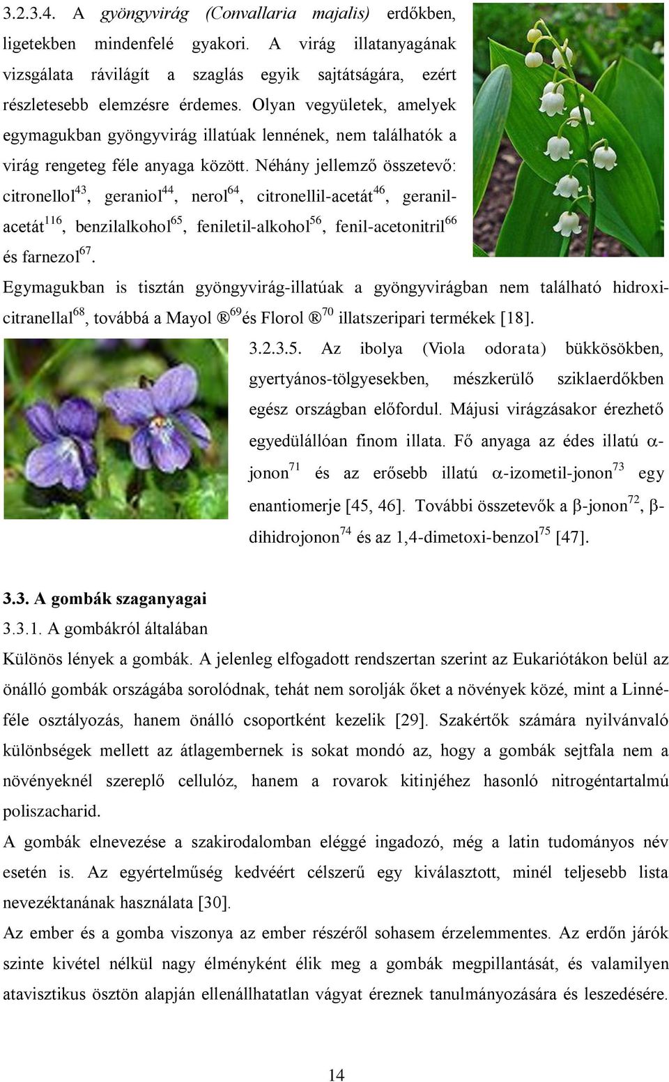 Néhány jellemző összetevő: citronellol 43, geraniol 44, nerol 64, citronellil-acetát 46, geranilacetát 116, benzilalkohol 65, feniletil-alkohol 56, fenil-acetonitril 66 és farnezol 67.