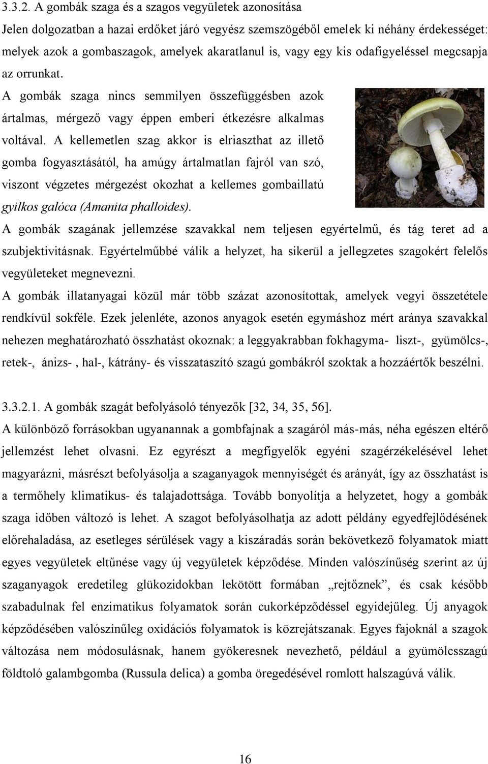 egy kis odafigyeléssel megcsapja az orrunkat. A gombák szaga nincs semmilyen összefüggésben azok ártalmas, mérgező vagy éppen emberi étkezésre alkalmas voltával.