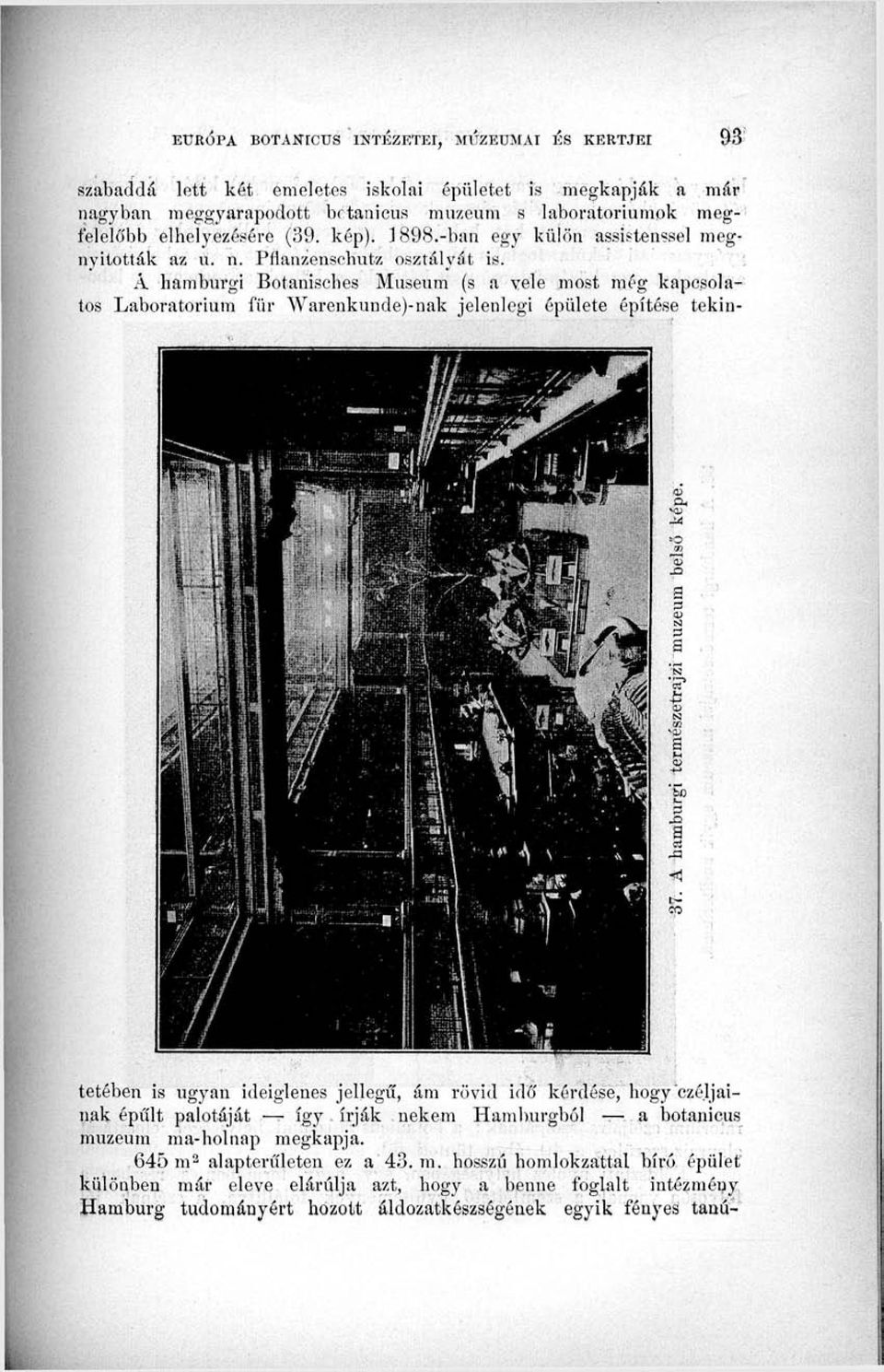 Á hamburgi Botanisches Museum (s a yele most még kapcsolatos Laboratórium für Warenkundej-nak jelenlegi épülete építése tekintetében is ugyan ideiglenes jellegű, ám rövid idő